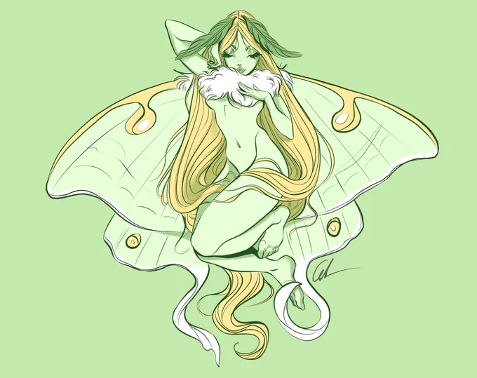These moth girls are well over 2 years old now but I still love them dearly  