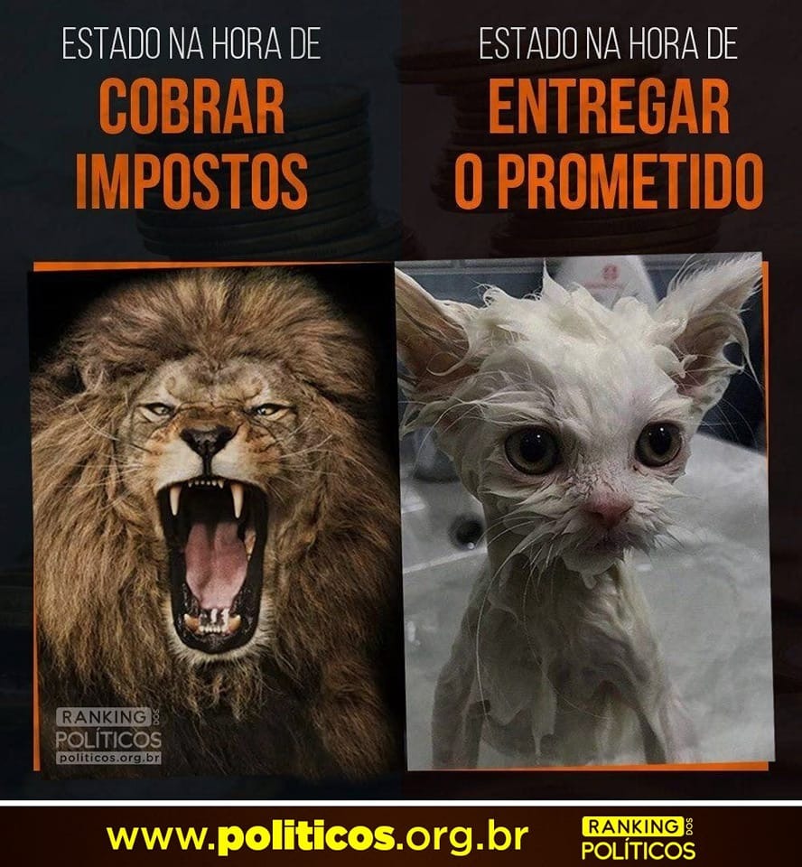 RankPolitico's tweet image. Na hora de morder parte dos seus ganhos o leão funciona que é uma maravilha, mas na hora de entregar...

Por isso, medidas que melhoram a eficiência dos serviços públicos, como a Reforma Administrativa, são tão necessárias!