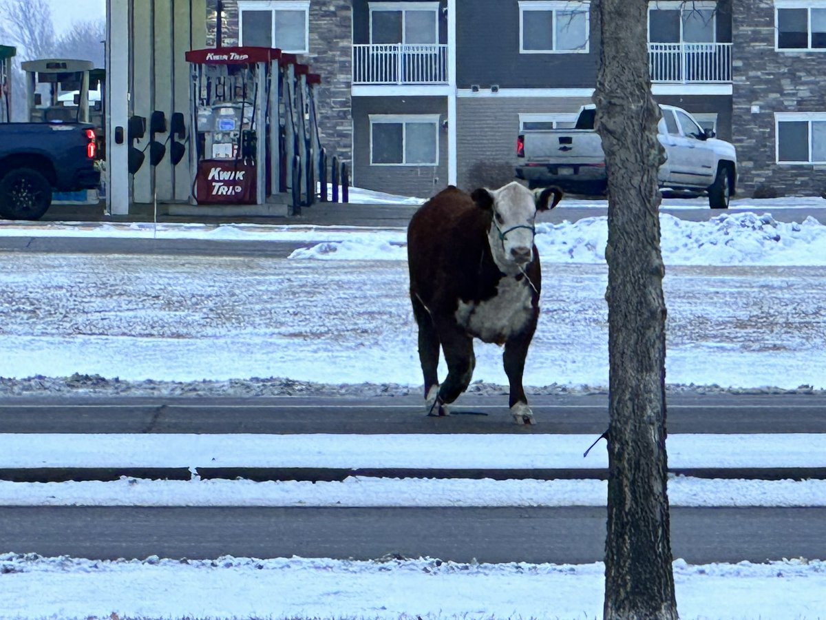 somehow, this isn't photoshopped