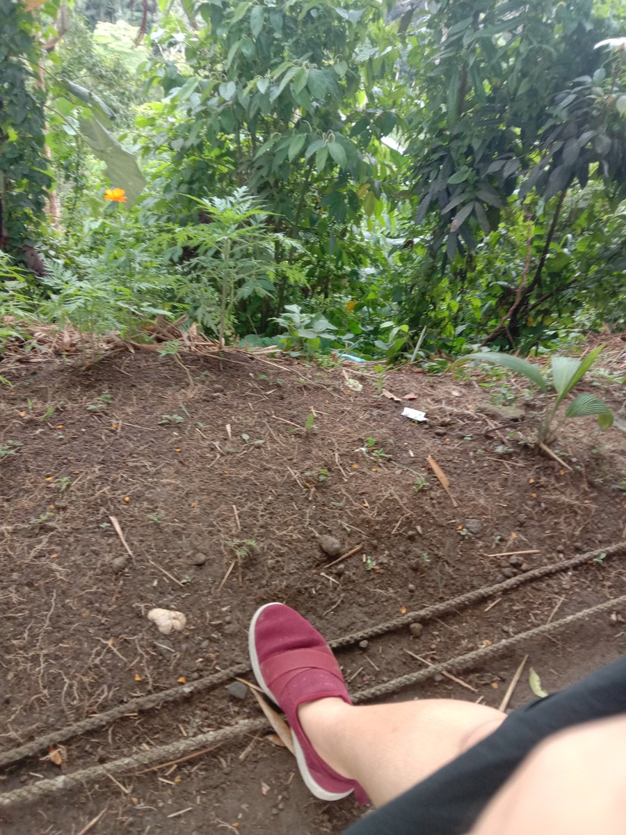 susvinticus's tweet photo. 1000 Notes | Note 1 

You are in a situation where your feet is in the Edge of life's sulk. These sulks like decision making, etc. You just need to decide the best option for that. https://t.co/IeqsdU1tW9