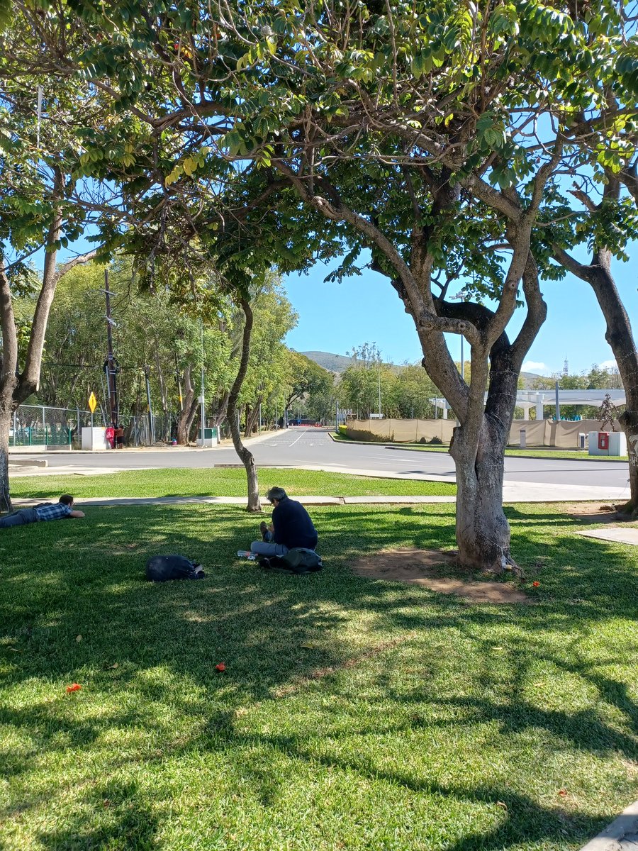 På flyplassen i Oaxaca, en route Cancun🏖😎