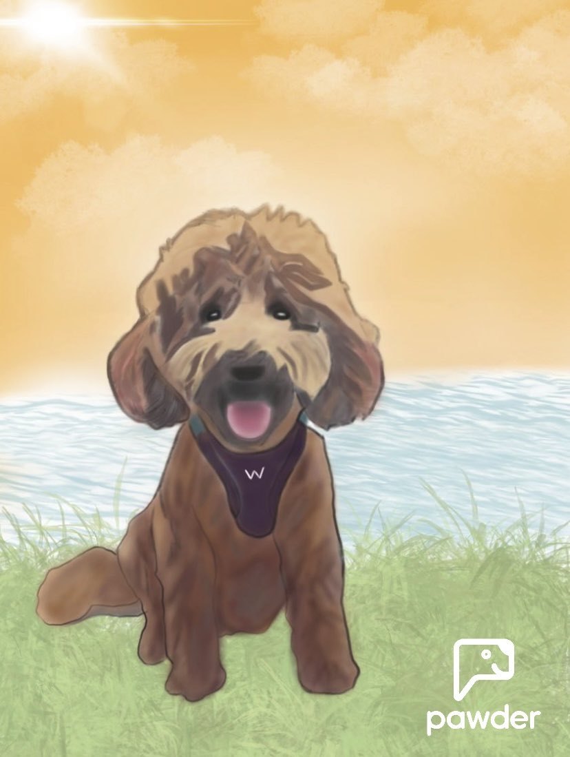 Akımdan geri kalmak istemedik 🐾❤️