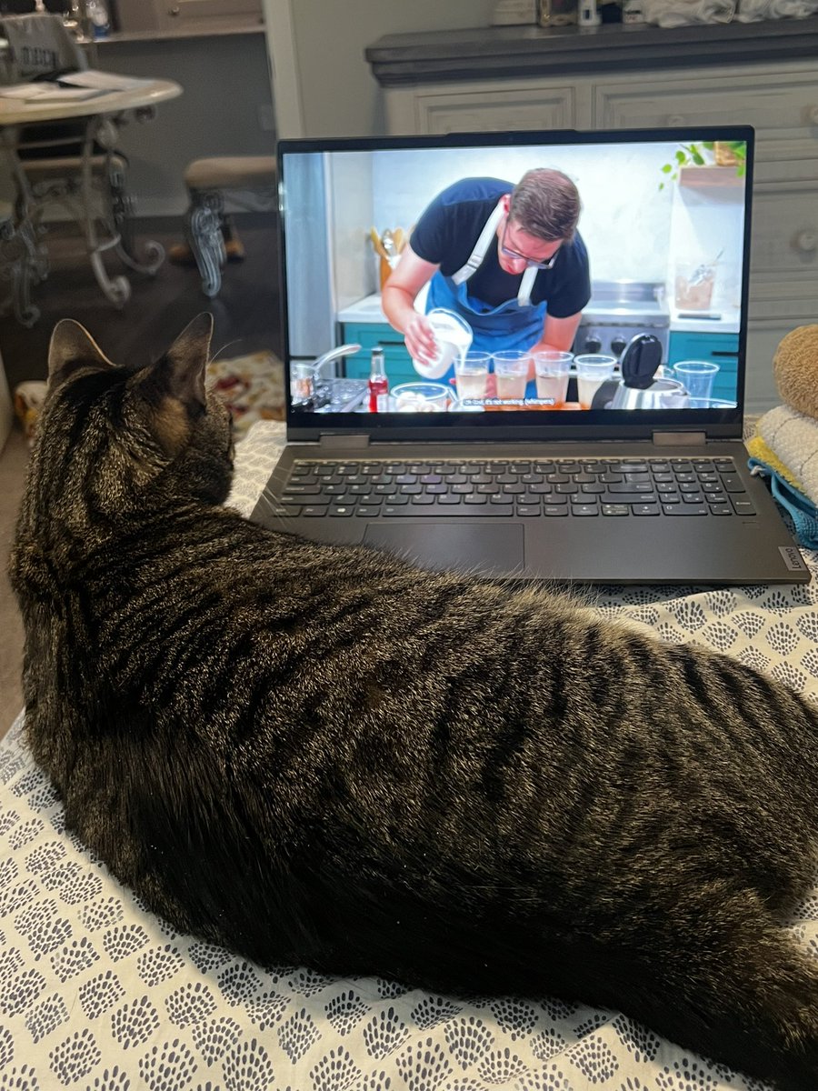 Bails_Nicole's tweet photo. Muffin and I love starting our day with the Try Guys @tryguys https://t.co/wO7ASAyYnG