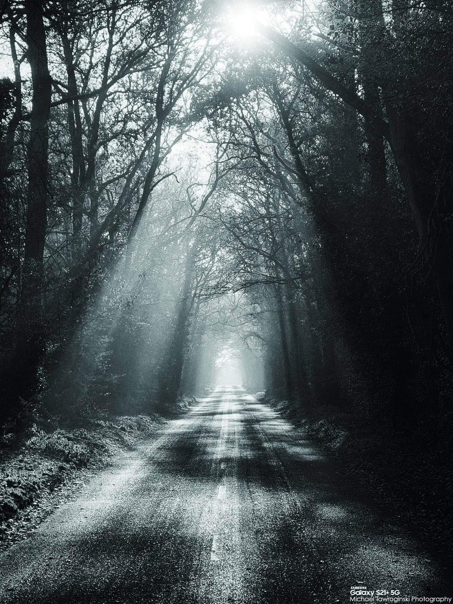 VMpropertyDIY's tweet image. Burnham Beeches,🍂🍁❄️Berkshire 🚐 #localview #burnhambeeches #fotografia #mobilephotography @aleexander_007 @mtawroginska @ewatawroginska @victortawroginski 🚐❄️ @vodafoneuk ☎️ @samsungmobile @samsunguk 📱#withGalaxy #s21plus