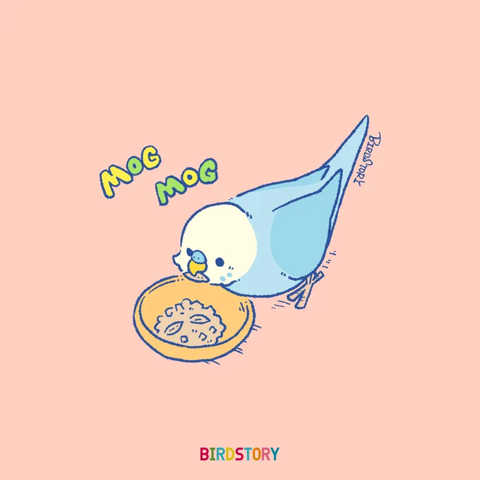 おはようございます。本日は12月11日、胃にイイの語呂合わせから、胃腸の日とのことです#BIRDSTORY #セキセイインコ 
