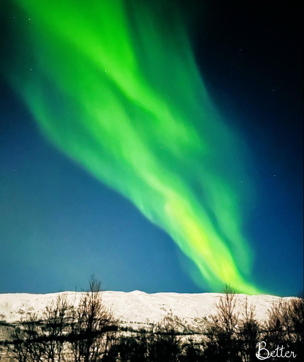 V_B_writes's tweet image. Good night from somewhere very cold. ✨😇
#AuroraBorealis #polarlighting #Norway #photography #NaturePhotography #Tromso