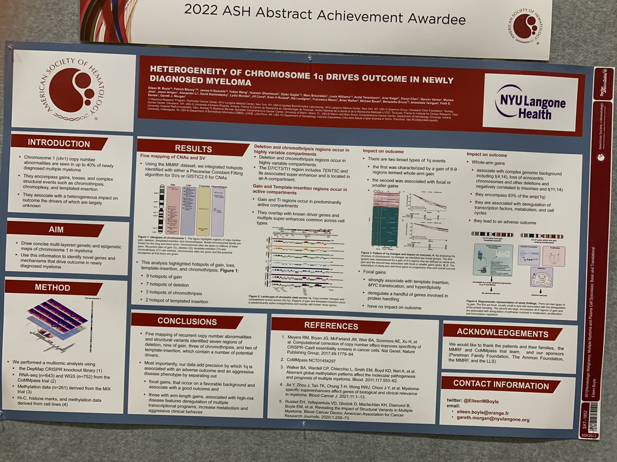 Noa Biran (@birannoa) on Twitter photo Chromosome 1q- We are starting to understand which genes drive adverse risk. Copy number changes, regions of gain and templated insertion occur and overlap with known driver genes. 2/3 of cases are whole arm gain jumping translocations. <a href="/EileenMBoyle/">Eileen M. Boyle</a> #ASH22 Chromosome 1q- We are starting to understand which genes drive adverse risk. Copy number changes, regions of gain and templated insertion occur and overlap with known driver genes. 2/3 of cases are whole arm gain jumping translocations. <a href="/EileenMBoyle/">Eileen M. Boyle</a> #ASH22