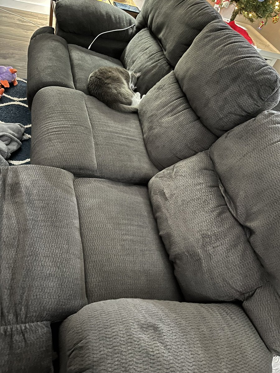 BurtyButt's tweet image. When you knock over a big cup of water on the couch just so you can get it to yourself.