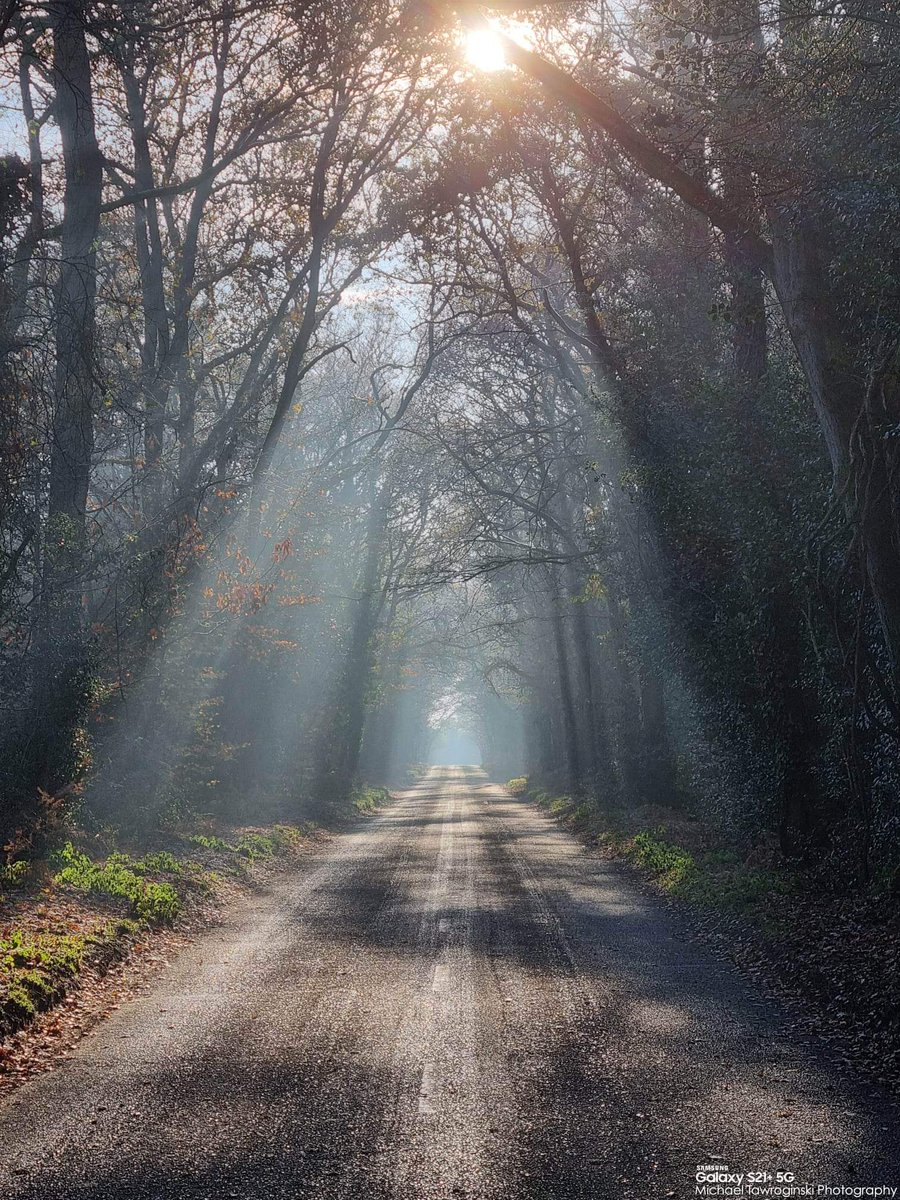 VMpropertyDIY's tweet image. Burnham Beeches,🍂🍁❄️Berkshire 🚐 #localview #burnhambeeches #fotografia #mobilephotography @aleexander_007 @mtawroginska @ewatawroginska @victortawroginski 🚐❄️ @vodafoneuk ☎️ @samsungmobile @samsunguk 📱#withGalaxy #s21plus