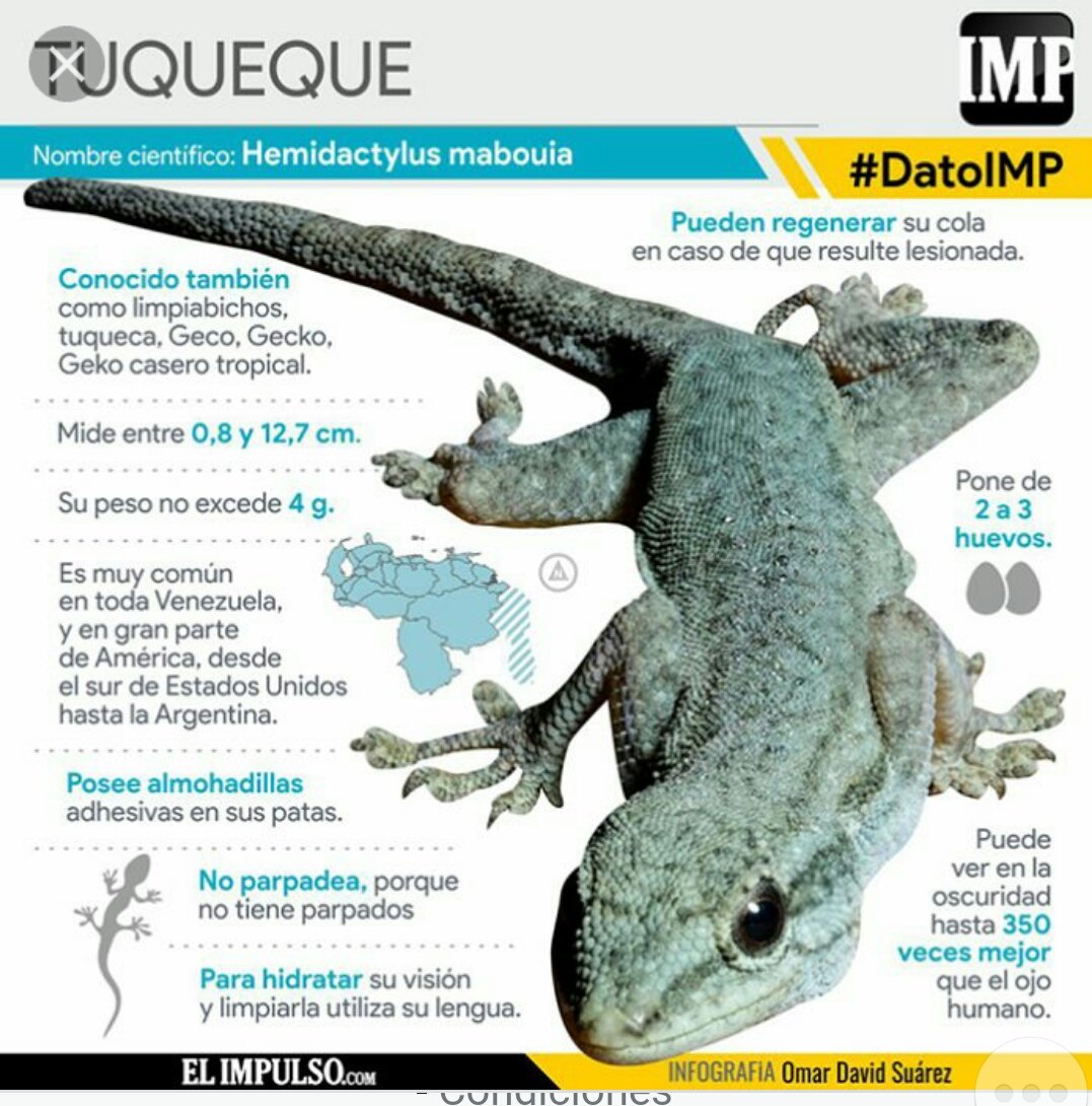 silgomarve's tweet photo. @Mariet23_ https://t.co/kt3A5U19Q1
