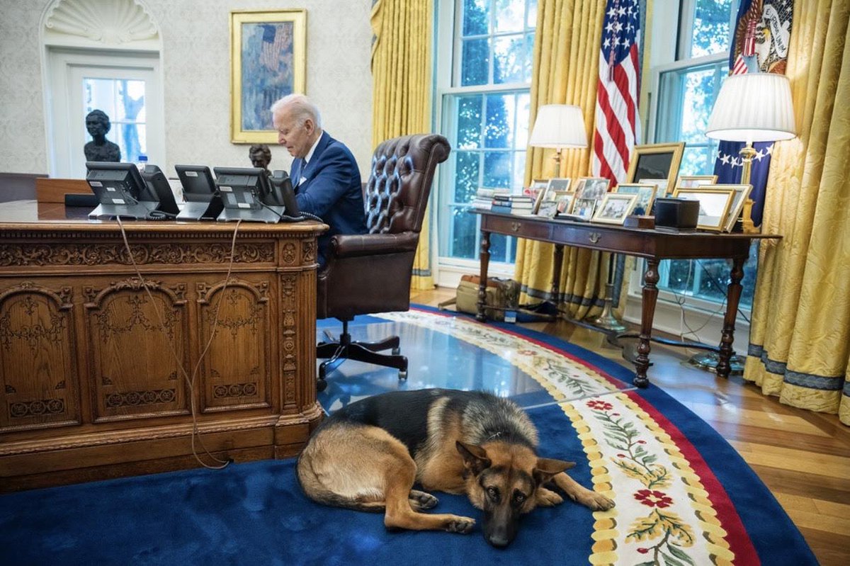 The Oval Pawffice® 🇺🇸 DOTUS Fans tweet media