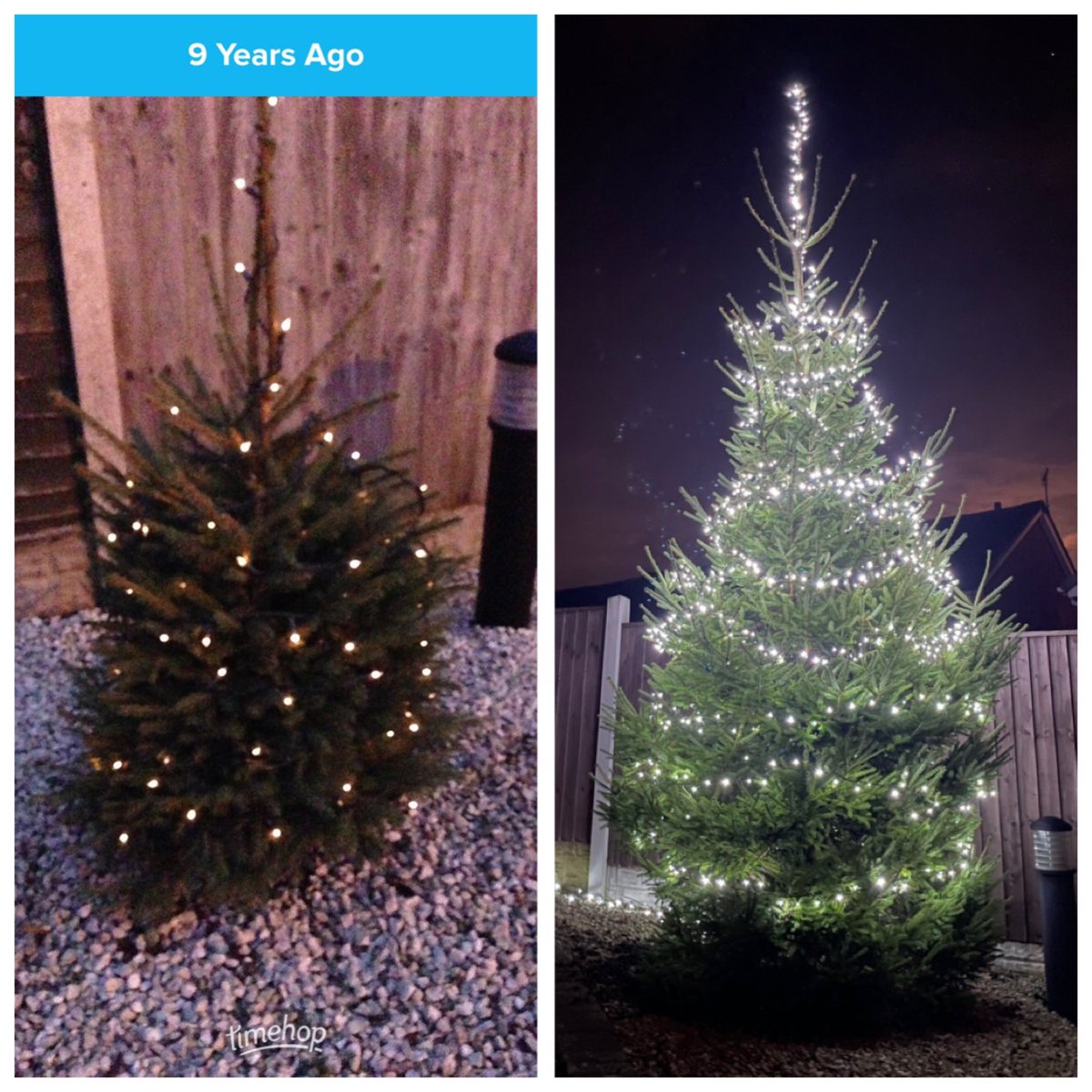 9 years later!
#XmasTree #Christmas