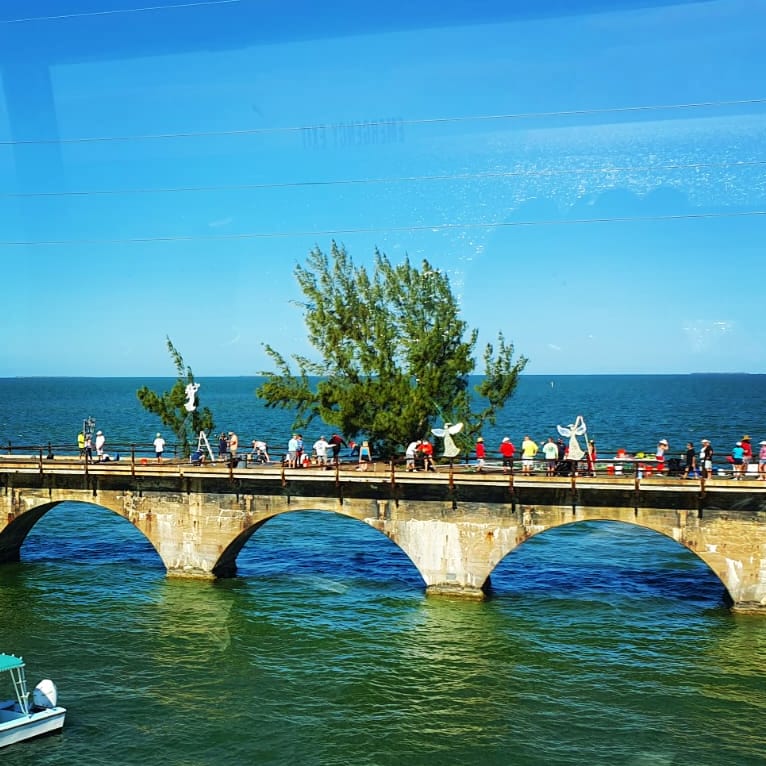 UpTheKeys's tweet image. Spotted! Can't wait to see you at night, Fred ✨️🎄

#fredthetree #holidaysinthekeys #christmastree #christmasinthekeys #winterwonderland #christmaslights #tistheseason #marathon #7milebridge #australianpine #weloveyoufred #upthekeys
