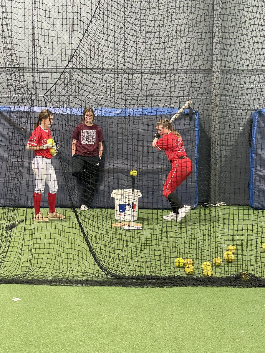 LadyTigerSoftball tweet media