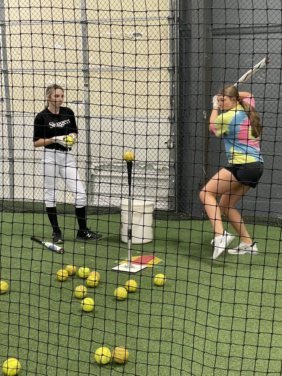 LadyTigerSoftball tweet media