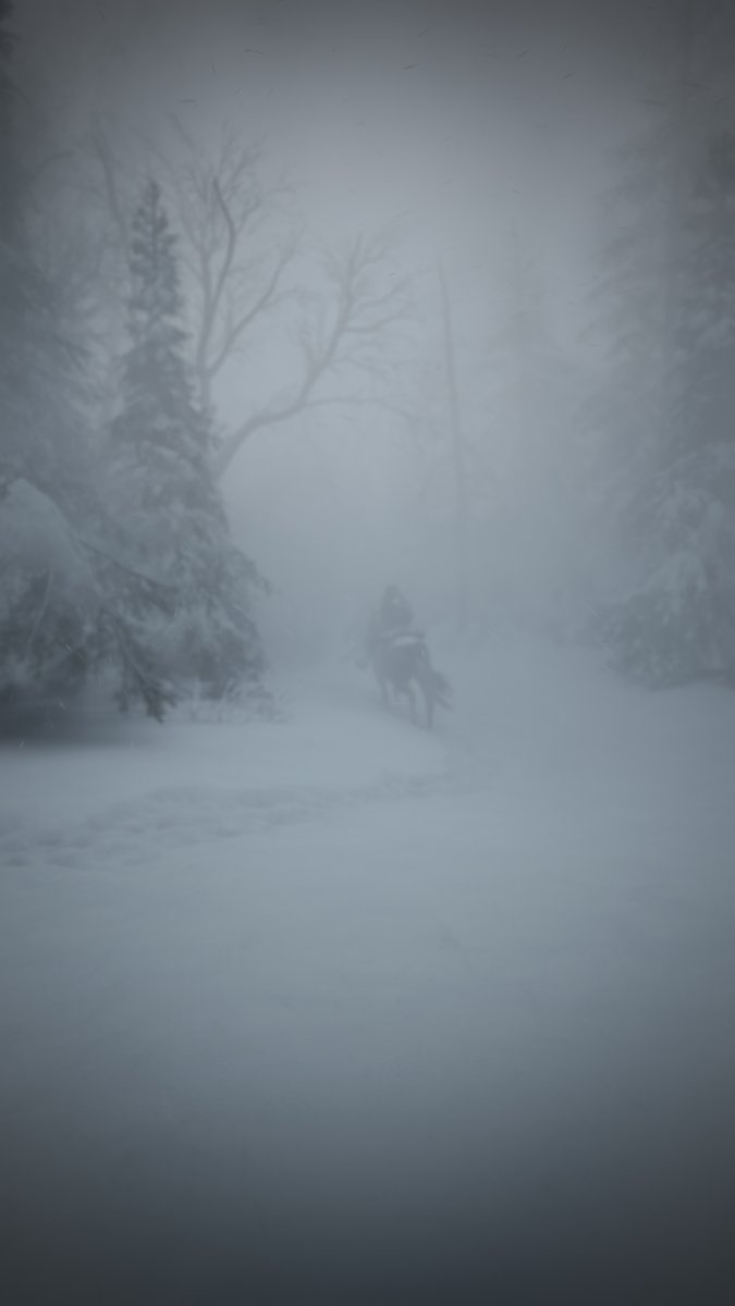 amich_vp's tweet photo. The Last of Us Part II - #TLOUVP
#VirtualPhotography #TLOU2 #TheLastOfUsPart2 #TheLastofUs #ThePhotoMode #TCCWinter #TPMwinter #UDLRNature https://t.co/RH6BiIOAbP