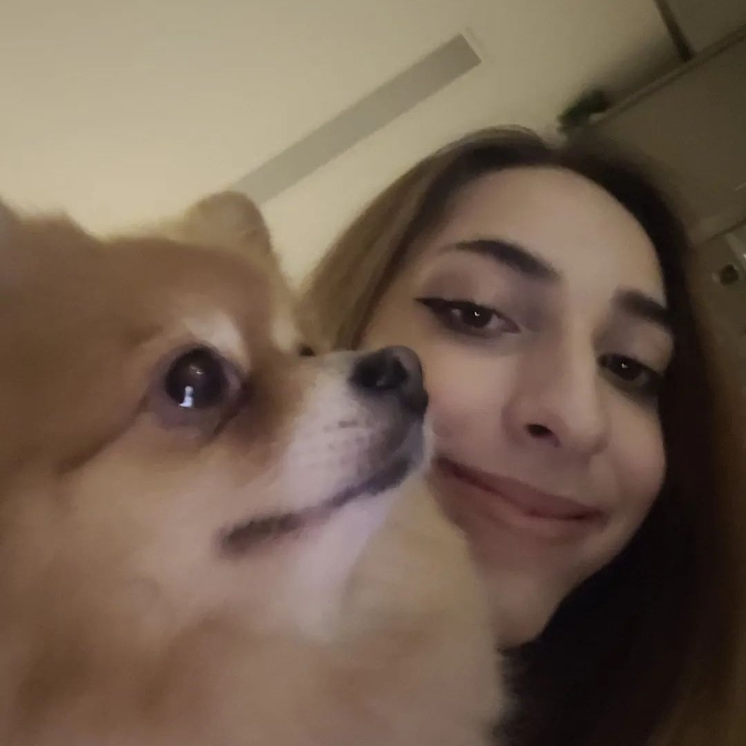 thinkerbeagi's tweet photo. 🐶🐾 https://t.co/JLWhRymwVT