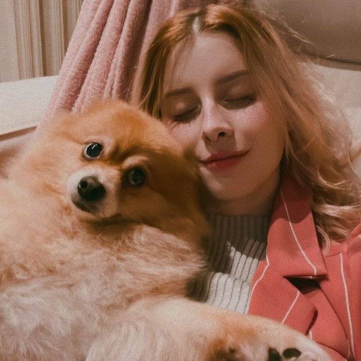 thinkerbeagi's tweet photo. 🐶🐾 https://t.co/JLWhRymwVT