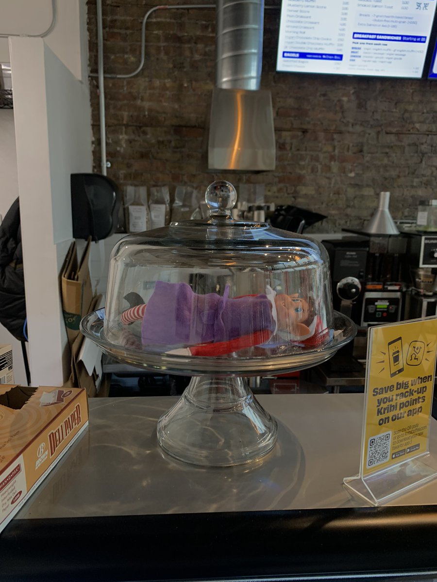 we had to trap him in here because he kept eating all our espresso beans