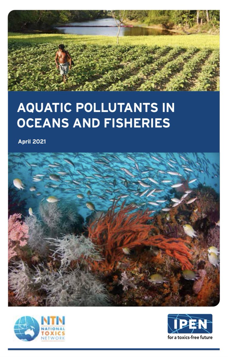 Plastic Chemicals Threat Health

Chemicals used to make #plastics are polluting oceans &amp; waterways, not only endangering wildlife and those who rely on seafood for sustenance, but threatening the collapse of many fisheries
👉ipen.org/documents/aqua… #plasticstreaty #toxicplastics