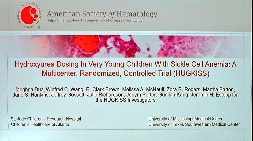 DrPowerHays's tweet photo. First up, #hydroxyurea in very young children with #sicklecell anemia sharing data from the #HUGKISS trial, an RCT in the United States comparing fixed dose vs dose optimization https://t.co/mr8FRfs44t