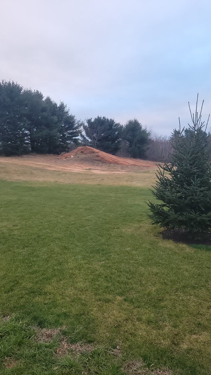 I think the neighbor is trying for some more Christmas cookies. John built my kids a sled hill 3 years ago. Every year they get older, he makes the hill higher. Picture doesn't do it any justice.