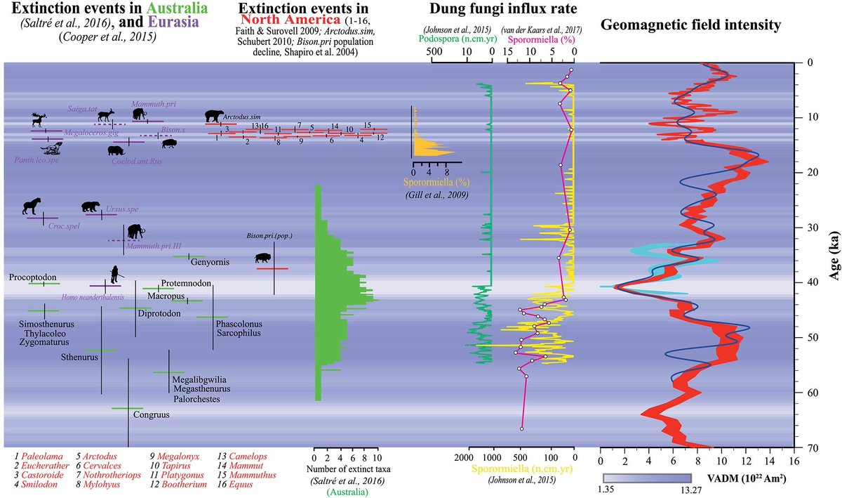 Diamondthedave's tweet photo. Geomagnetic Field Intensity Causes Extinction and Speciation #DarwinWasWrong #PunctatedEquilibrium @sse_evolution https://t.co/maQXfI2KEH
