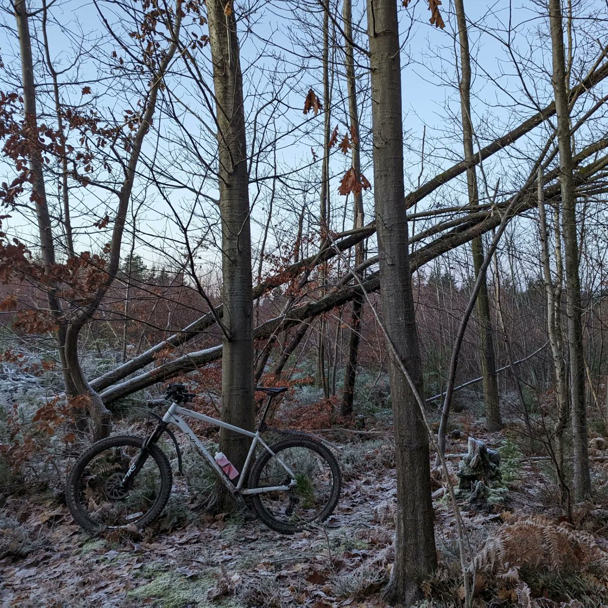 Andrew Bickerdike 💙 tweet media