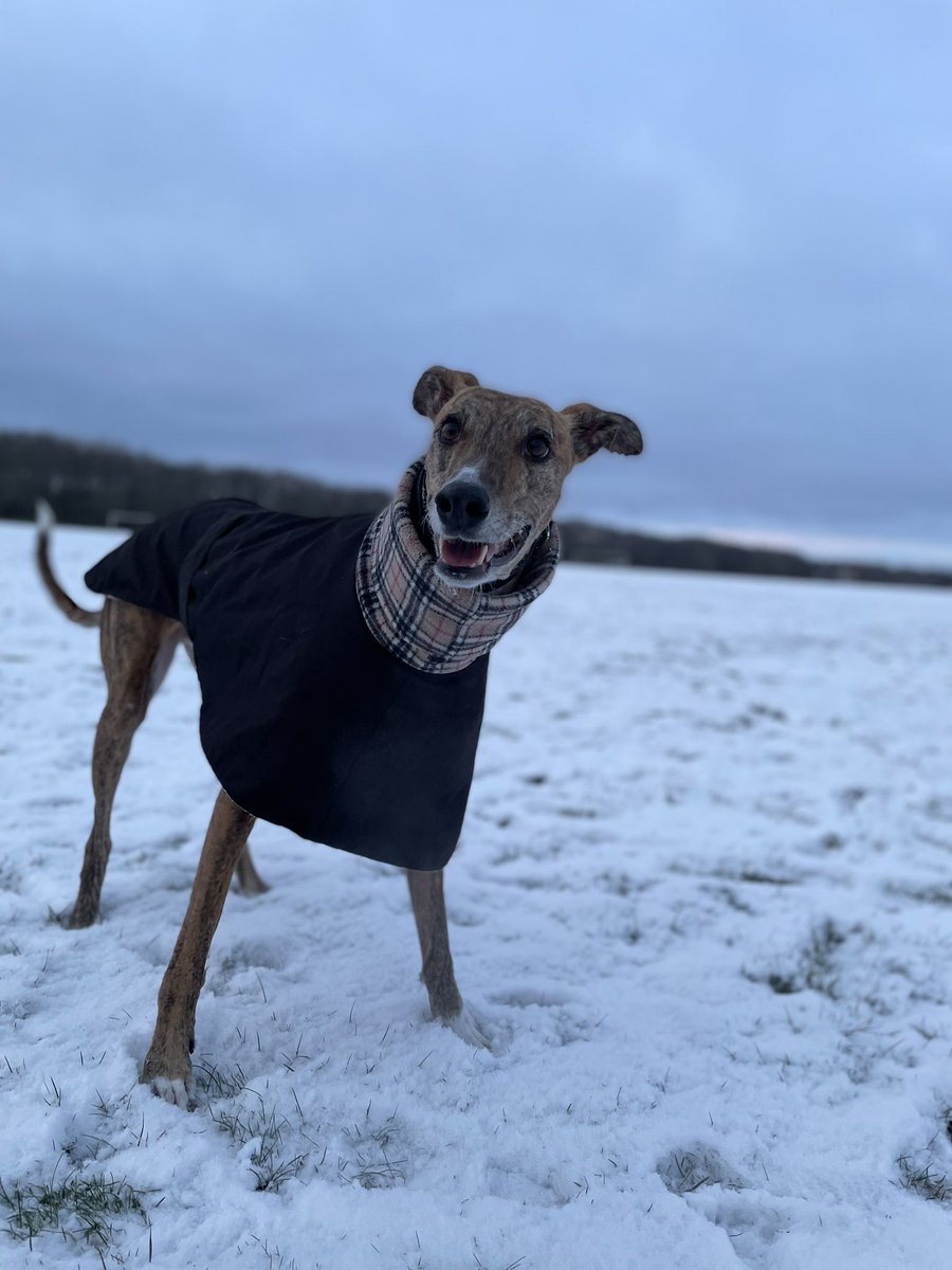 Emma Rogan tweet media