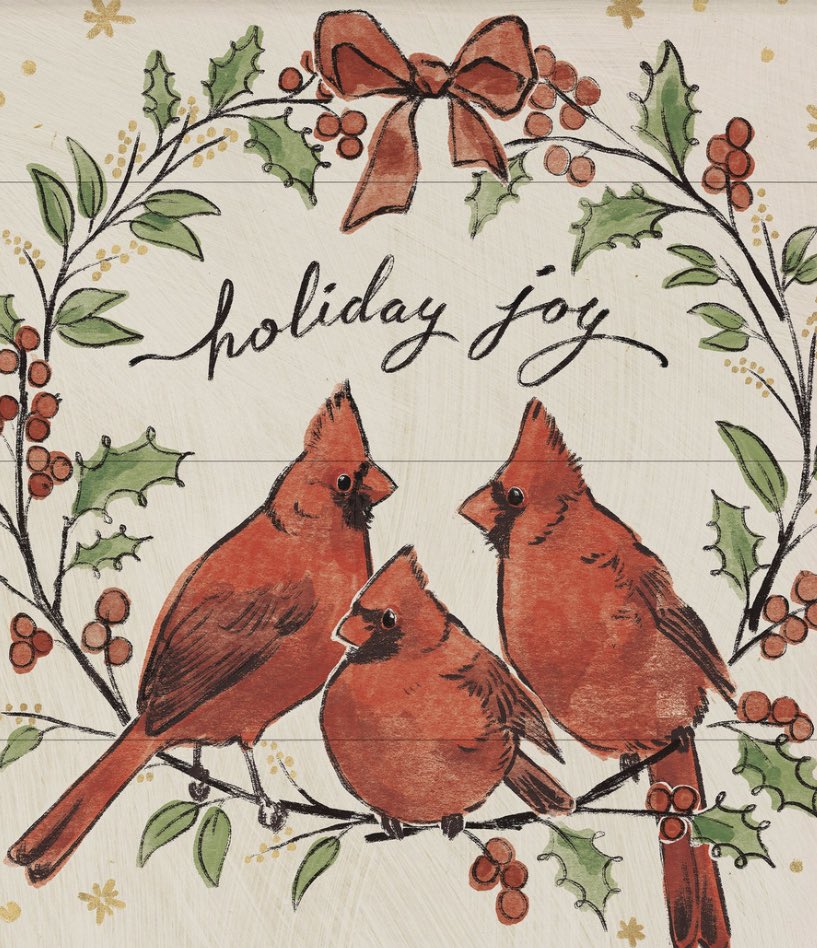 BioLinds's tweet photo. 🎶 tis the season for gay cardinals 🎶 https://t.co/vf9TQTzLan