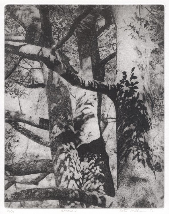 Ogatama - 2, by Peter Miller, 1996.