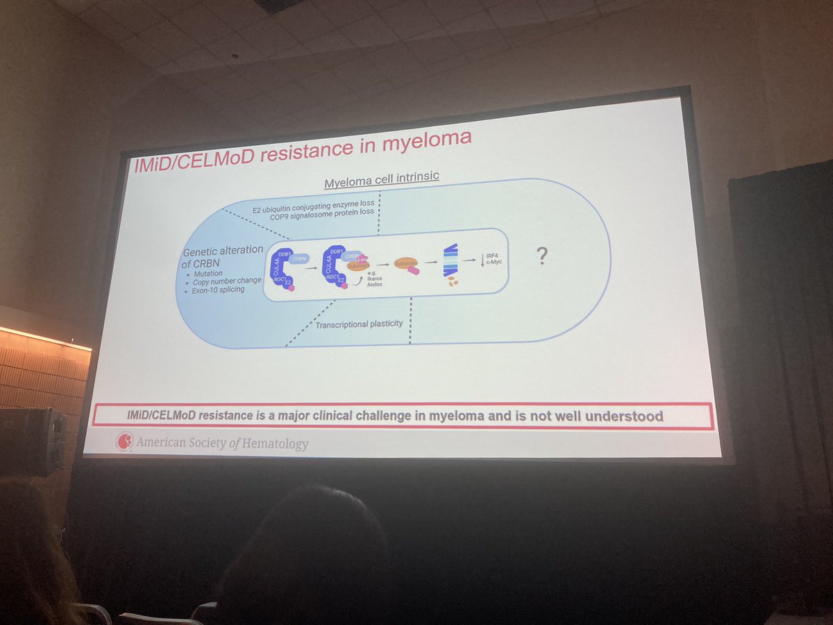 _DrCP's tweet photo. Dr Sarah Bird from my lab @ICR_London presenting our data at #ASH22 trying to further understand mechanisms of IMID resistance and how the resistant state could be targeted. #mmsm https://t.co/ObLaNv9kx3