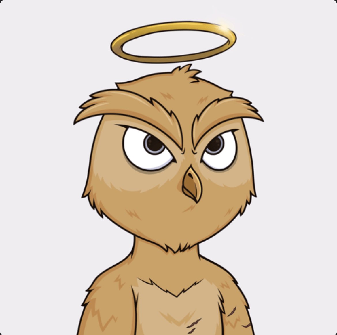 NFTeabag94's tweet photo. There is something extremely special going on within the @ElixirNFT community. Huge shoutout to @Hattori51991025 for gifting me this ovol and spreading so much love, I cannot thank you enough! Go Grab yourself an ovol and come join this truly special community! #Hootish https://t.co/2TMSxbwp5e