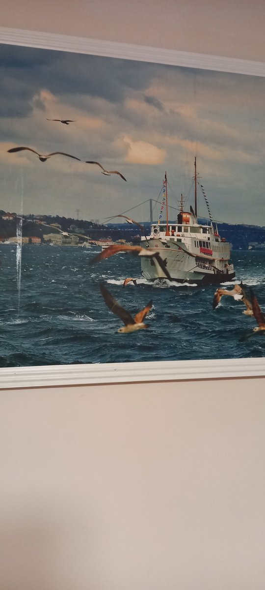 serco0144's tweet photo. Adana saricam yeni stadyum tarafinda pasif ariyorum aktifim  apde olur https://t.co/E0HHgibink
