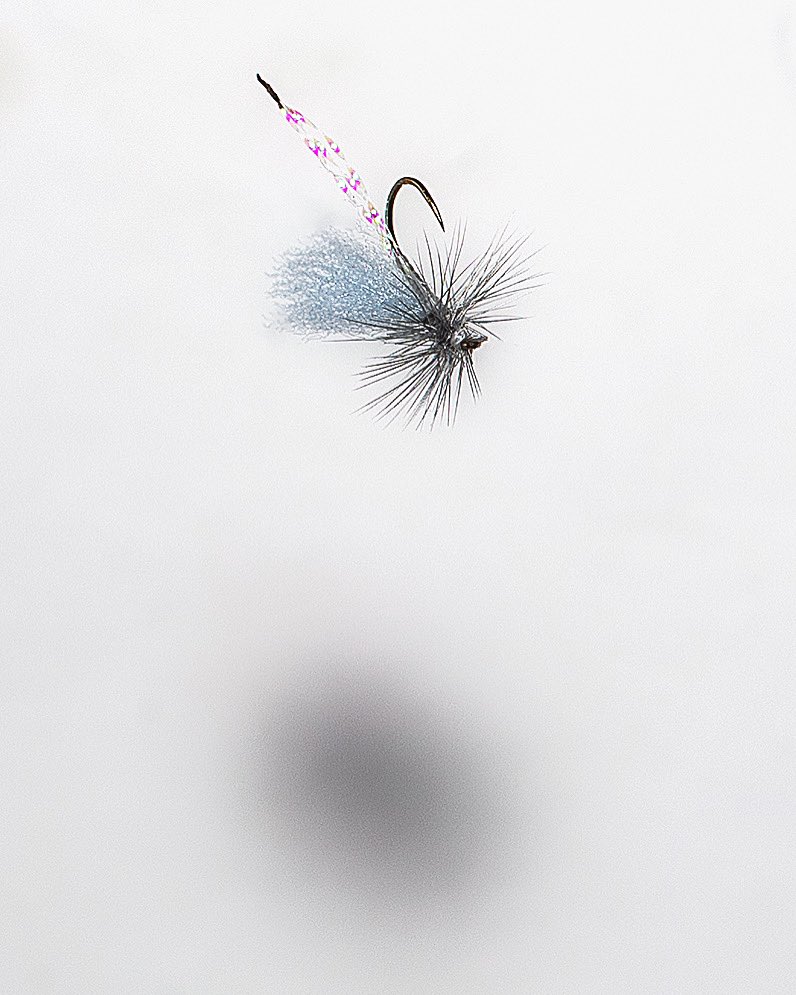 jaymsramirez's tweet photo. Still Life Saturday | #flyfishing #emerger #sierras #flytie https://t.co/8dnAx0XvwL