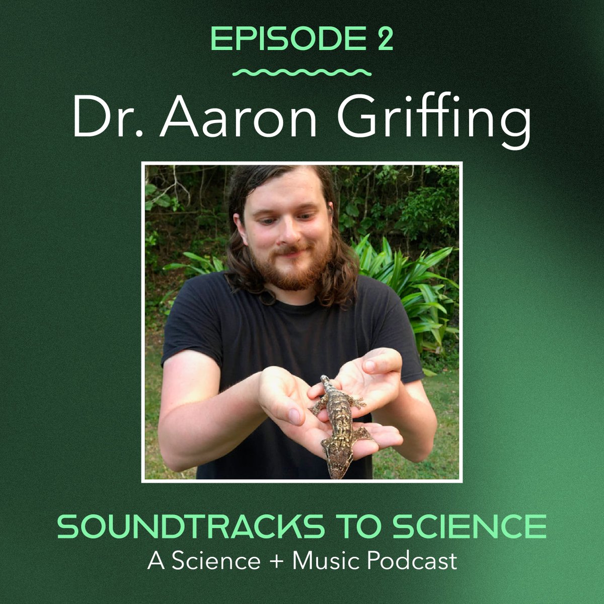 soundtracks2sci's tweet image. Episode 2: Welcome @AaronHGriffing ! Aaron is a biologist studying the morphology, development, and evolution of remarkable traits in geckos and other organisms. He is also a big fan of heavy music! 🤘🦎 soundtrackstoscience.buzzsprout.com/share