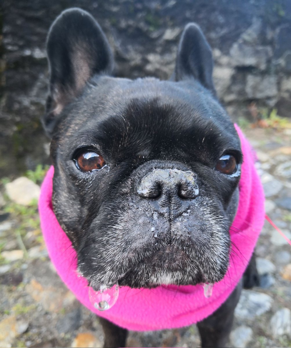 Re_Lalla's tweet photo. Bubbles https://t.co/0mBqKpGwpO