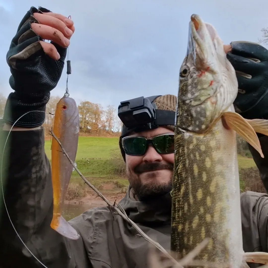 EUAngler's tweet photo. Another great session on my custom made lures, again same story 4 bites 3 landed πͺπ₯π£ as usual video coming soon on my YouTube chanel #EUANGLER #pikebaits #customlures #pikefishing #pikefishinguk #lurefishing #softlure https://t.co/E15PMAbPO5