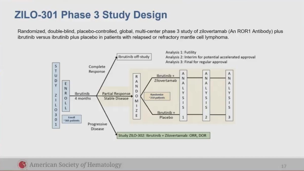 Eddie Cliff (@eddie_cliff) on Twitter photo Particularly impressive results for zilovertamab + ibrutinib in chronic lymphocytic leukaemia (CLL), especially in patients with TP53 mutations, who had a PFS of 100% at median follow up of 42 months <a href="/michaelwangmd/">Michael Wang, MD</a> #lymsm #ASH22 Particularly impressive results for zilovertamab + ibrutinib in chronic lymphocytic leukaemia (CLL), especially in patients with TP53 mutations, who had a PFS of 100% at median follow up of 42 months <a href="/michaelwangmd/">Michael Wang, MD</a> #lymsm #ASH22