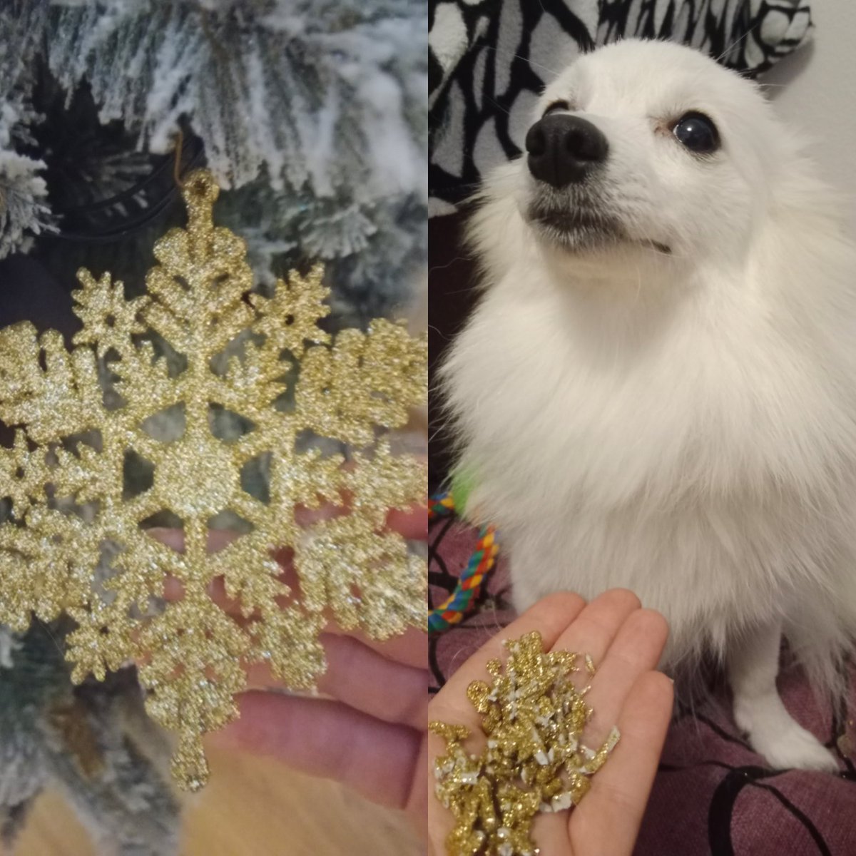 petite_ancre's tweet photo. ❤️my Spirit Animal and #grinch https://t.co/fVwUNIIIBH
