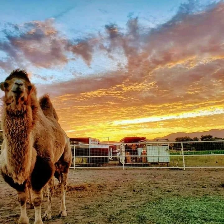 Love Life tweet media