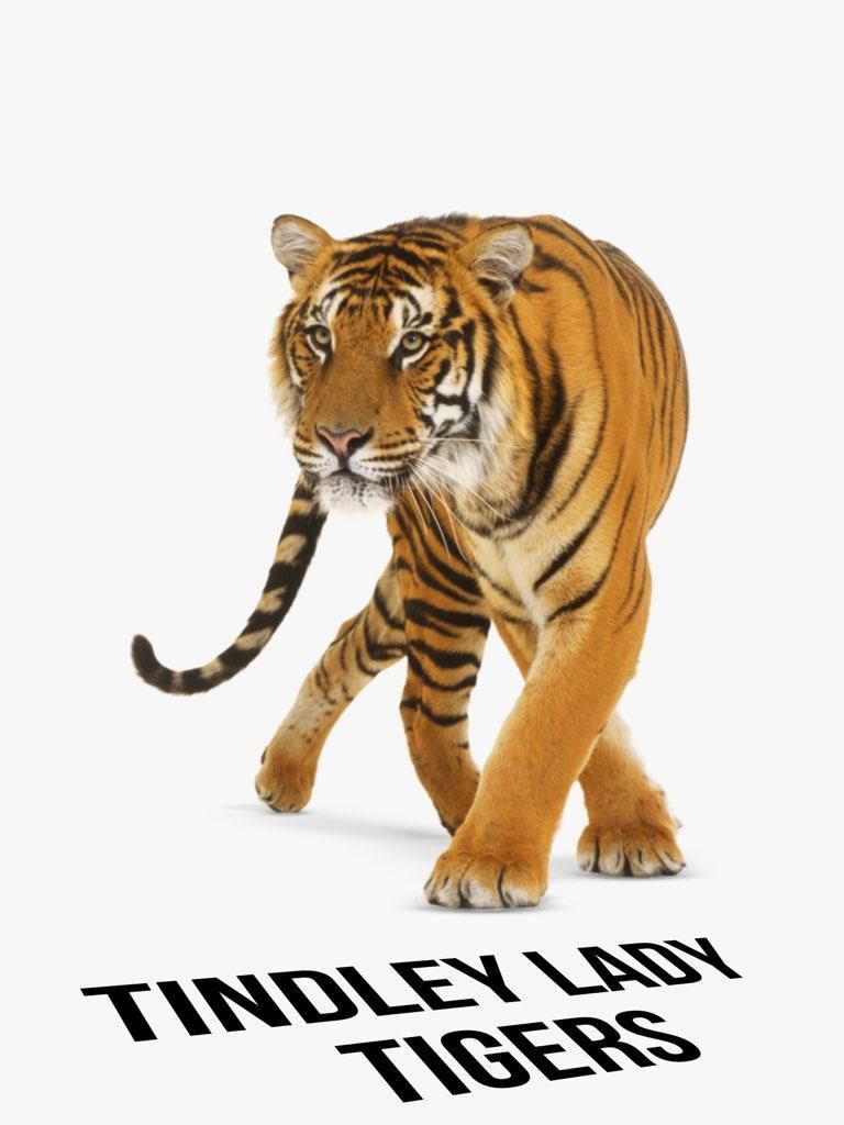 Your Lady Tigers advance to 6-2 on the season defeating Traders Point 42-32 next game is 12/20 against Riverside.     <a href="/jayda_barlow/">Jayda Barlow</a> ~ 16pts.                              <a href="/ariaunna_hall/">Ariaunna</a> ~ 13pts.                               <a href="/10mckeller/">Alilyona Mckeller</a>~ 7pts