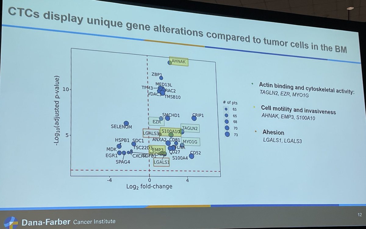 Beautiful work by Liz Lightbody at #ASH22 showing the power and promises of CTC #scRNAseq in #myeloma and discovering new features and biology of MM #CTCs in the process ⁦@LabGhobrial⁩ ⁦@IreneGhobrial⁩ #mmsm