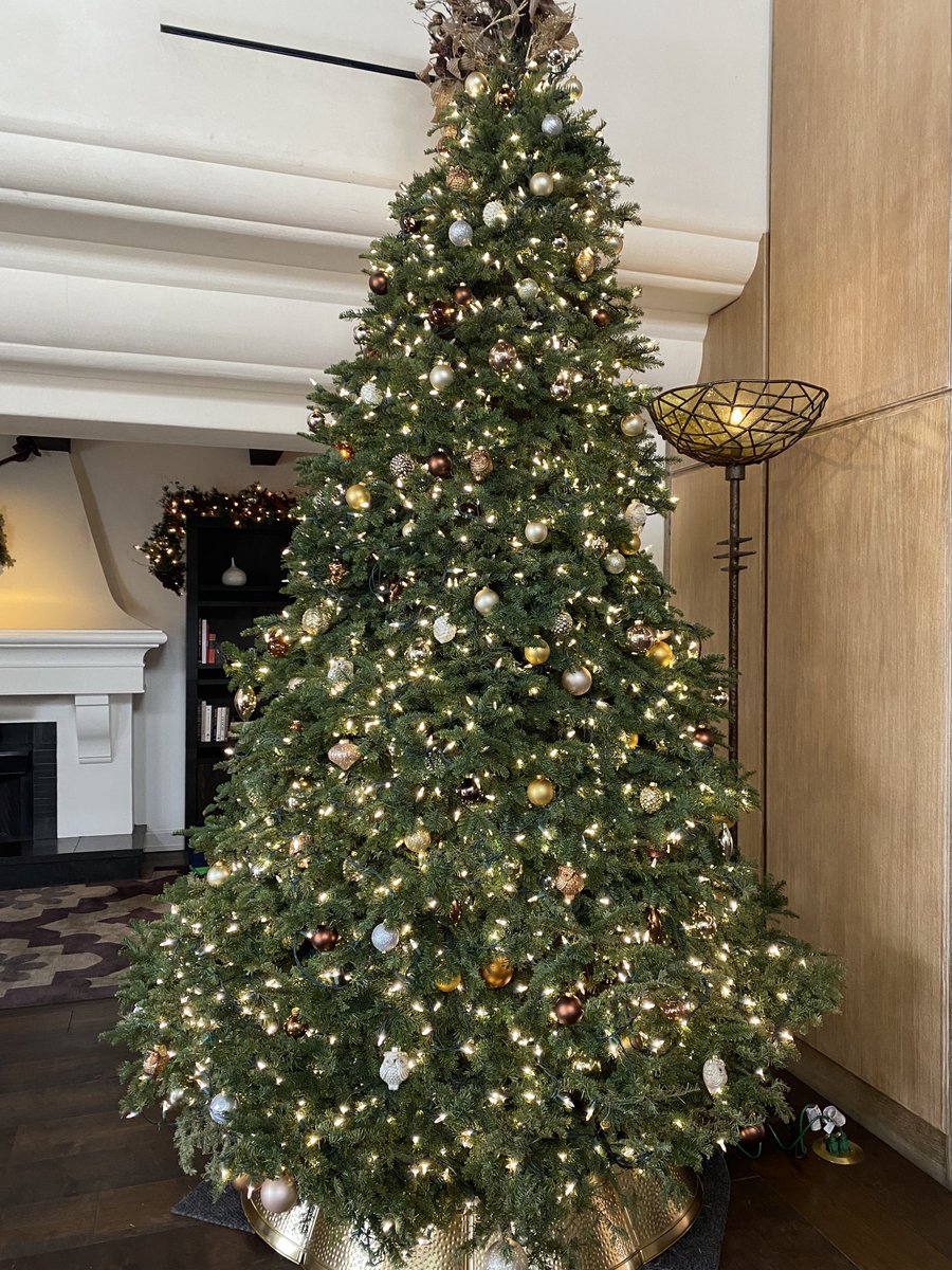Love seeing the Christmas decorations everywhere.