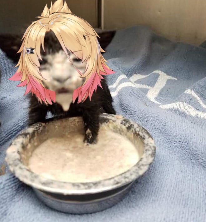 Obkatiekat On Twitter Bedtime Milk Slurp Slurp obkatiekat-on-twitter-bedtime-milk-slurp-slurp