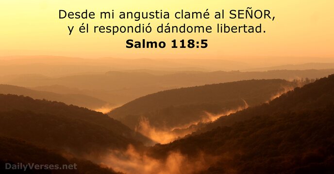 MarianFrattini's tweet photo. https://t.co/EzCztX6Ruh