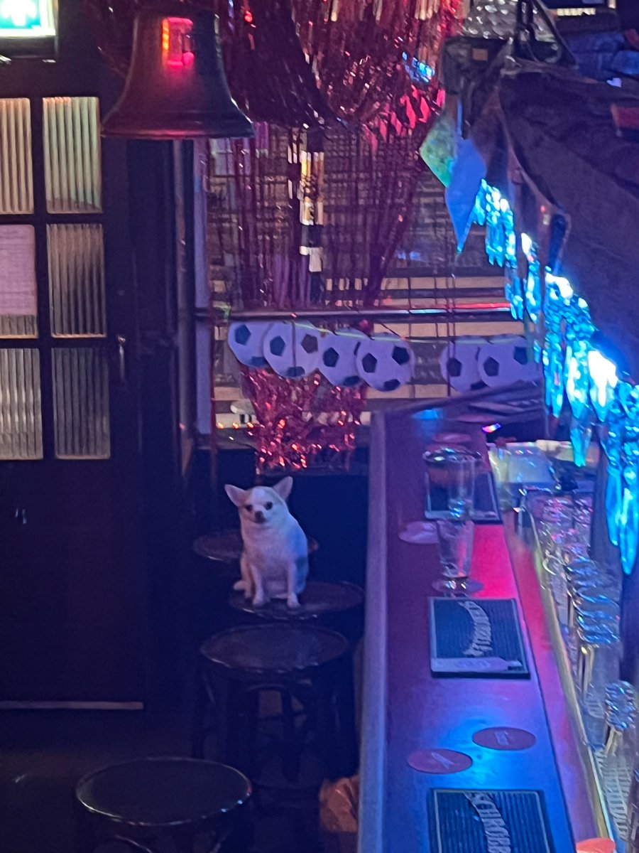 Notkarinabe's tweet image. Beer me