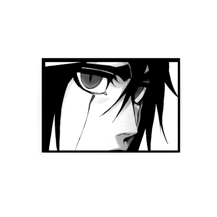 ﹙...﹚

Feels anxious about not being able to control what is happening in Las Noches while he's on his trip to the Human World.