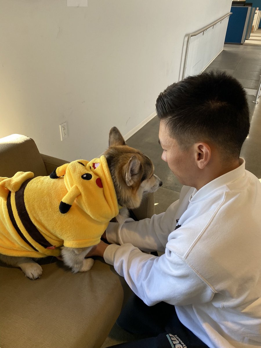 killa the corgi tweet media