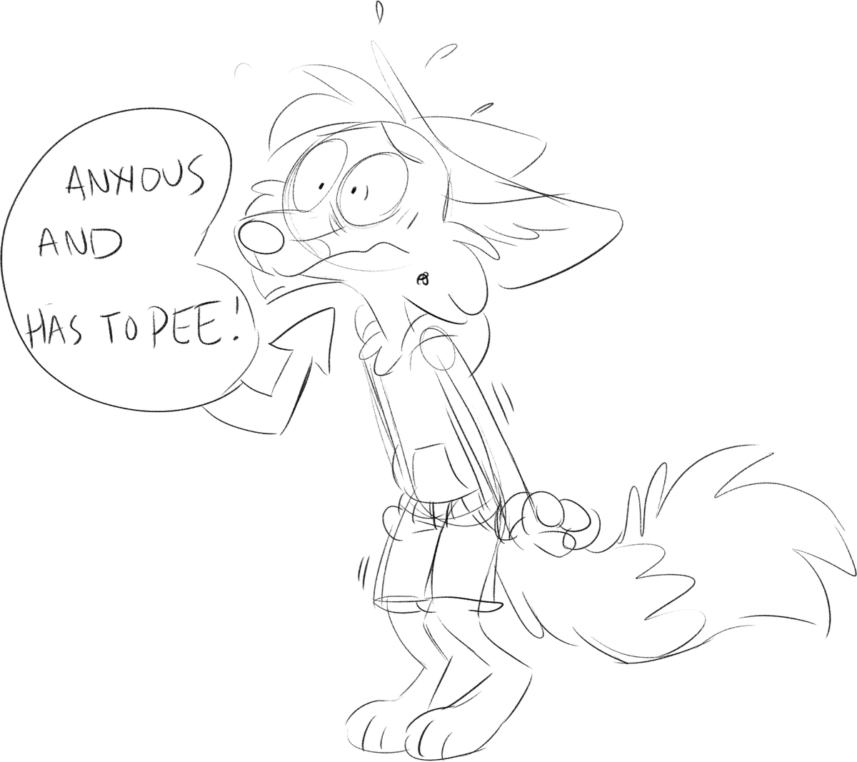 Why did I draw this